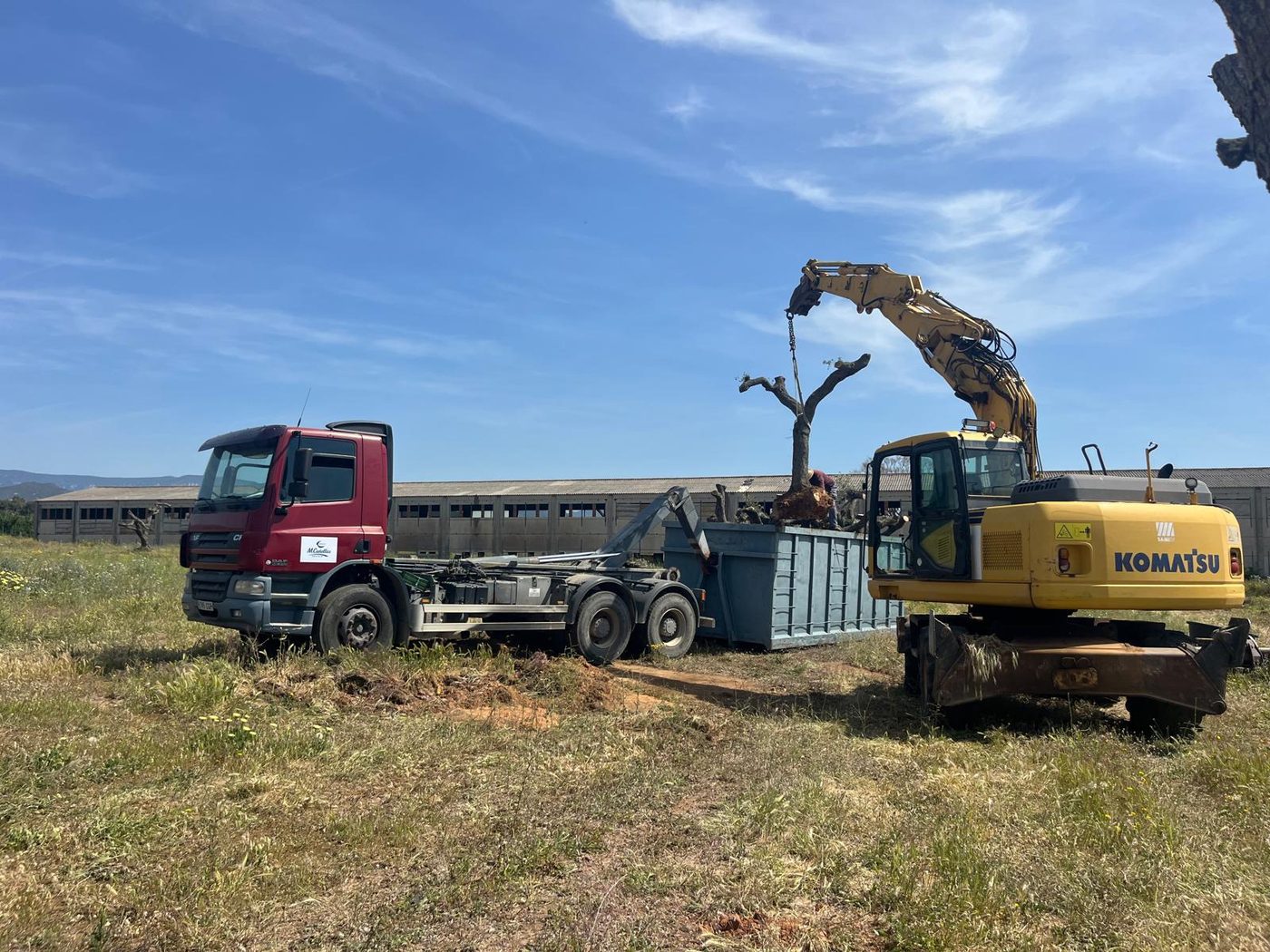 Excavadora cargando contenedor
